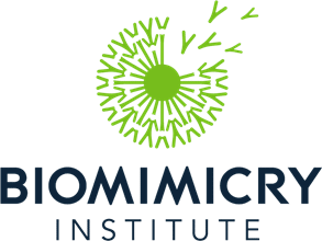 Biomimicry Institute logo